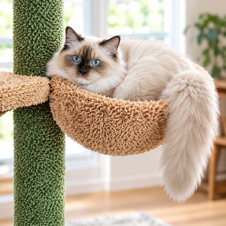 Cat curled in the round carpet basket bed of the cactus cat tree