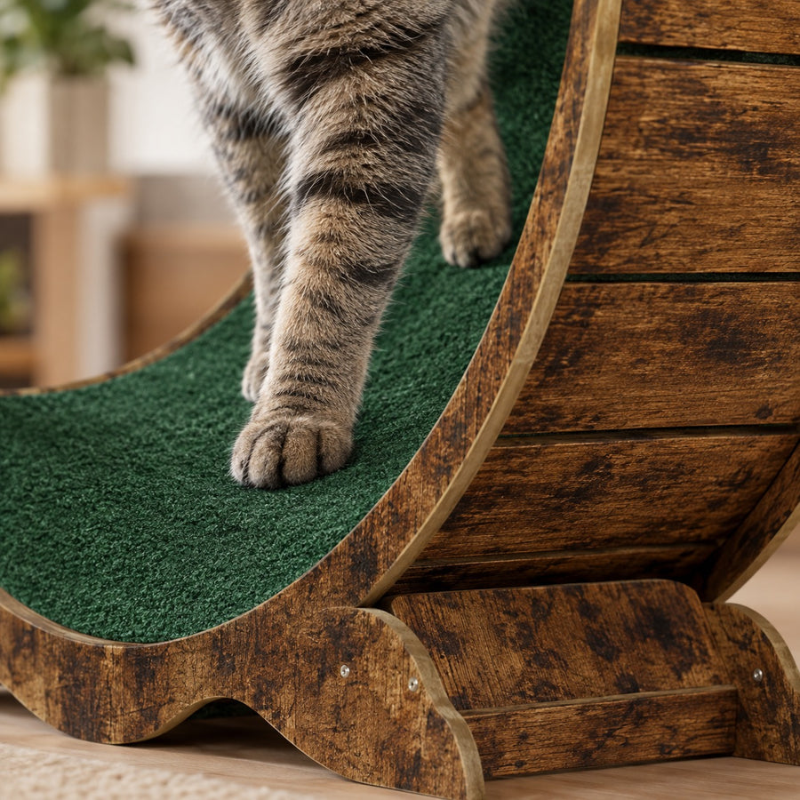 Cat paws on the green carpet running track of the large cat wheel