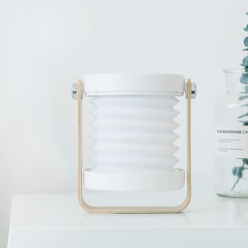 Modern Multi-Purpose Lamp