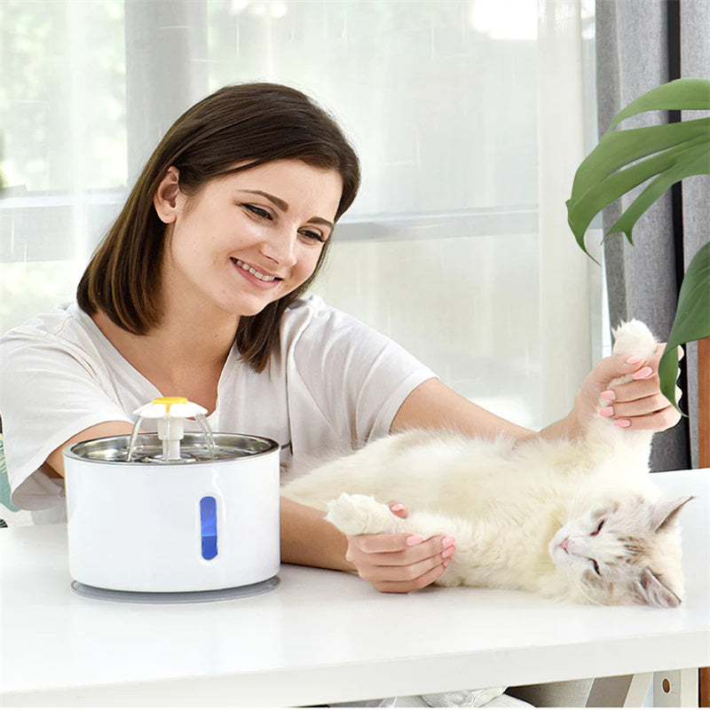 Deluxe Cat Water Fountain