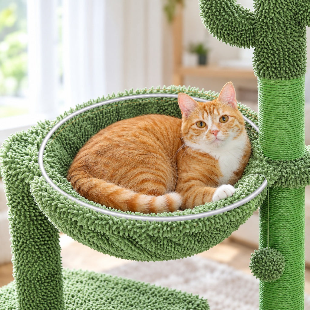 Cat curled up in the round metal-frame hammock of the cactus cat tree