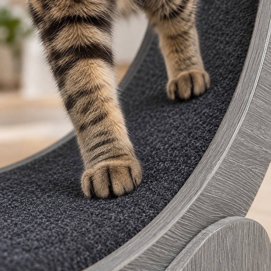Cat paws on the fleece running track of the cat exercise wheel