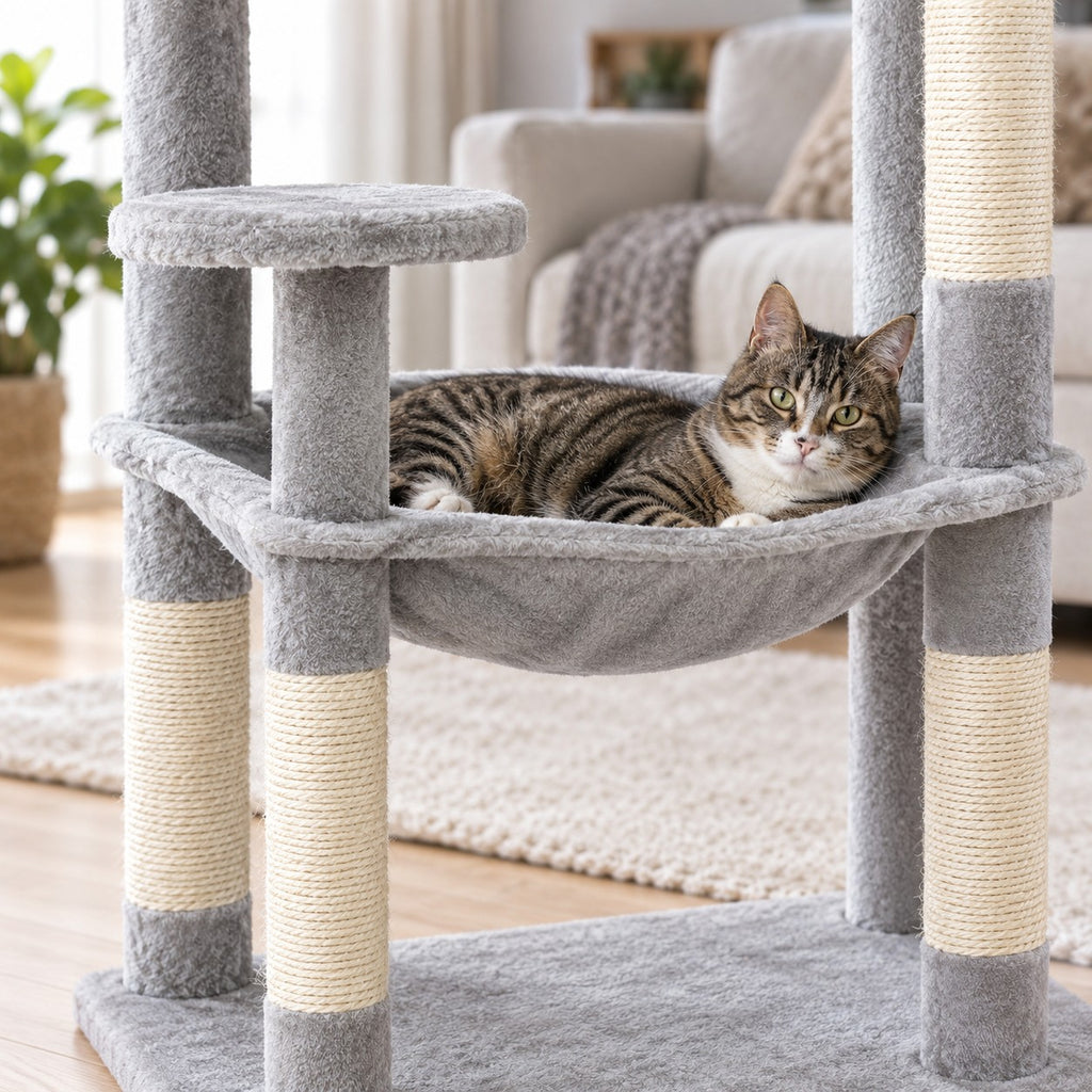 Cat resting in the large hammock of the cat tree