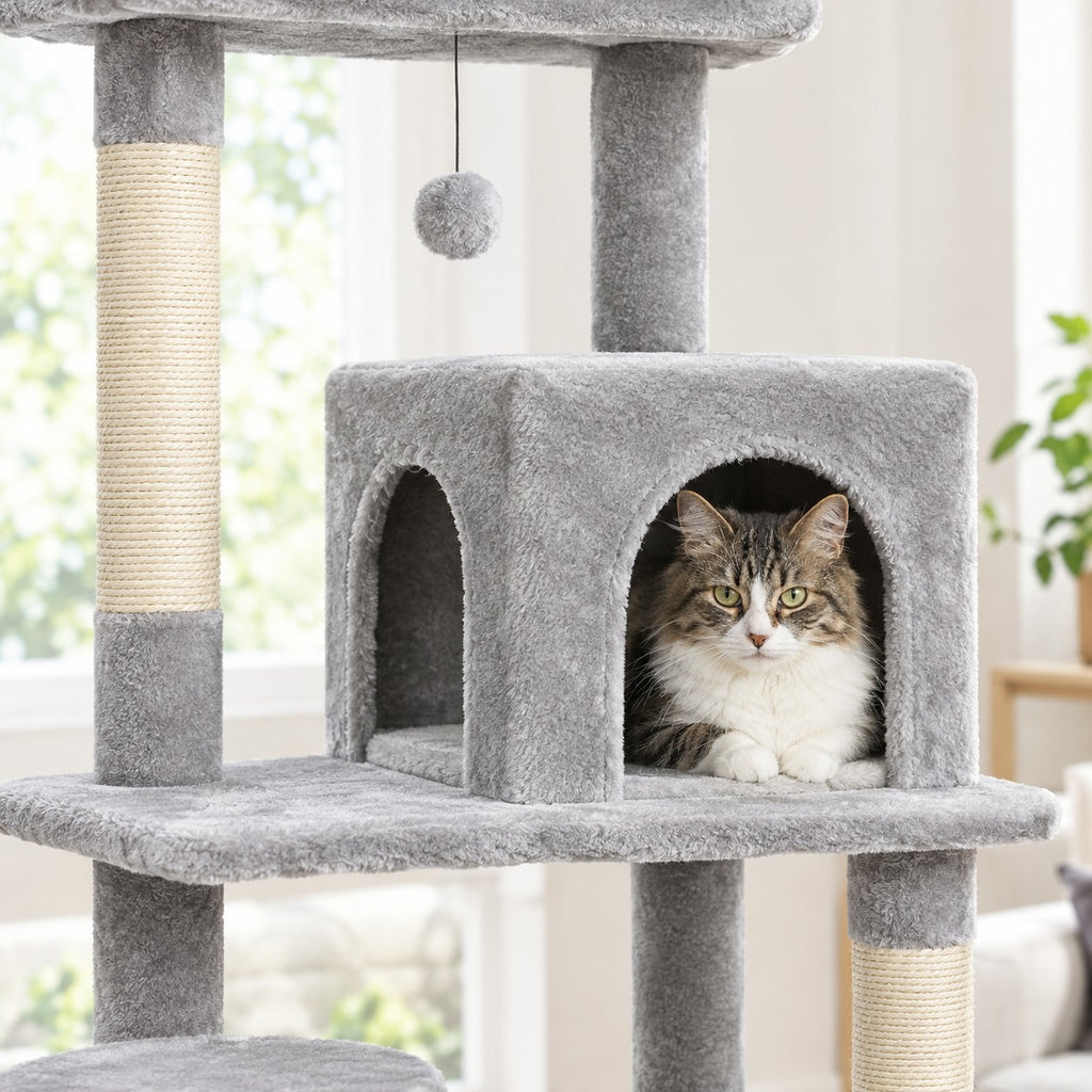 Cat peeking out of the two-door condo of the cat tree