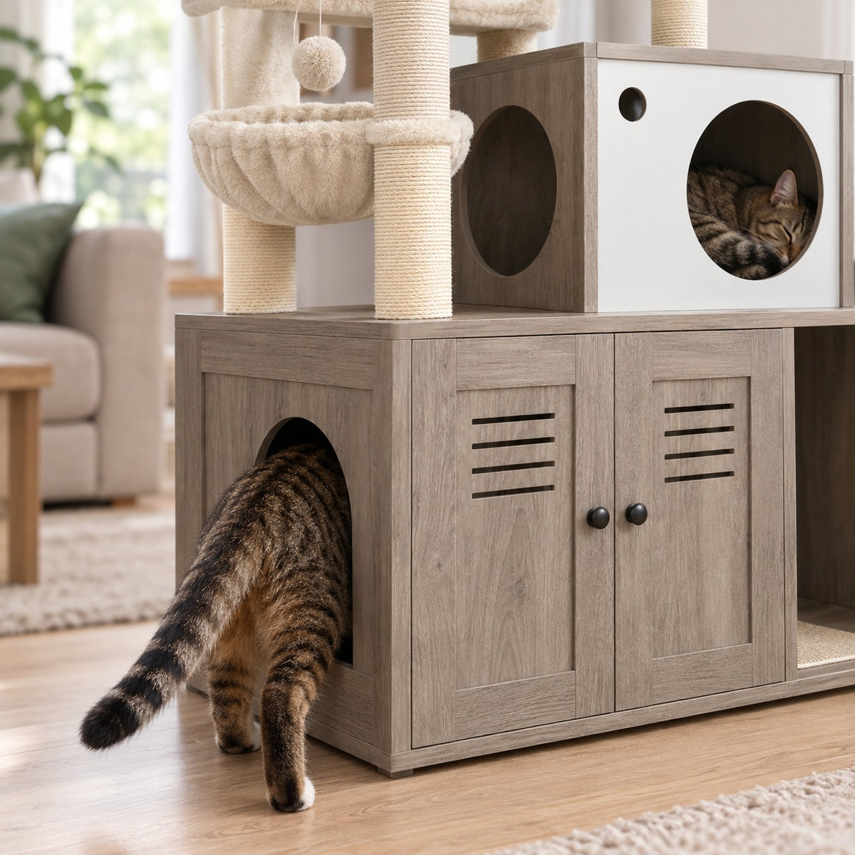 Cat walking into the arched side entrance of the litter cabinet