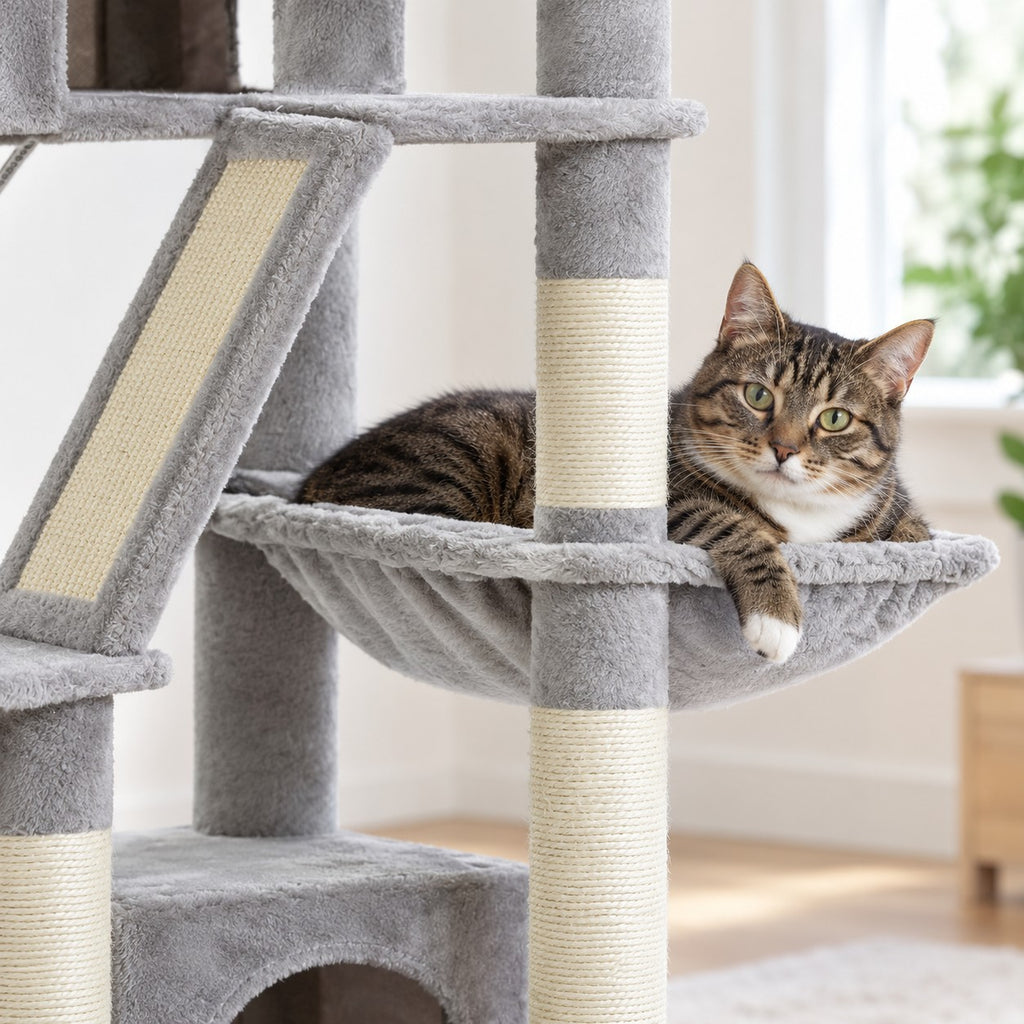 Cat resting in the plush hammock of the cat tree