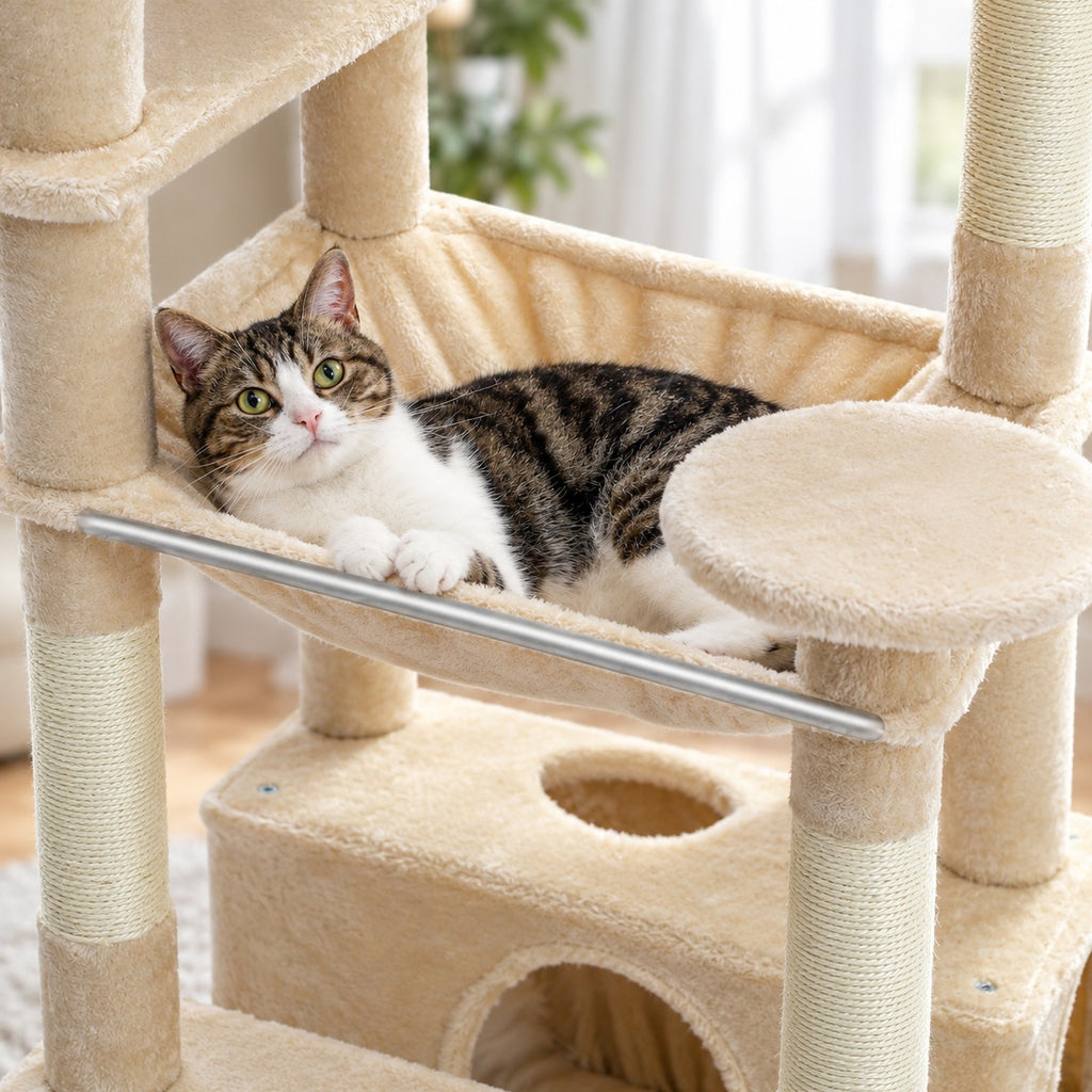 Cat resting in the steel-frame hammock of the cat tree tower