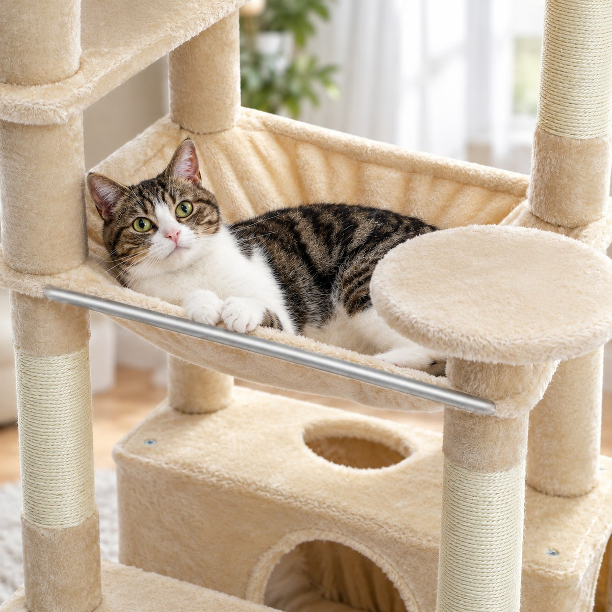 Cat resting in the steel-frame hammock of the cat tree tower