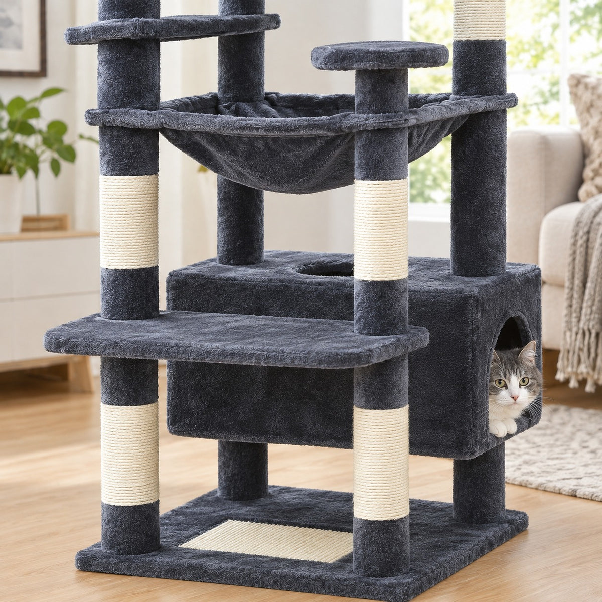 Cat peeking out of the long bottom condo of the cat tree tower