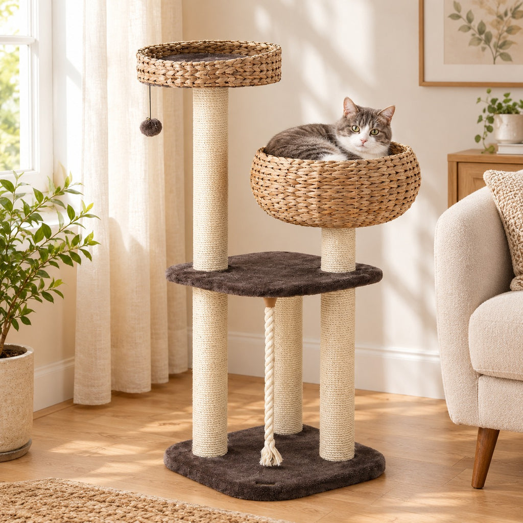 Cat tree with woven water hyacinth basket bed and sisal posts in Coffee