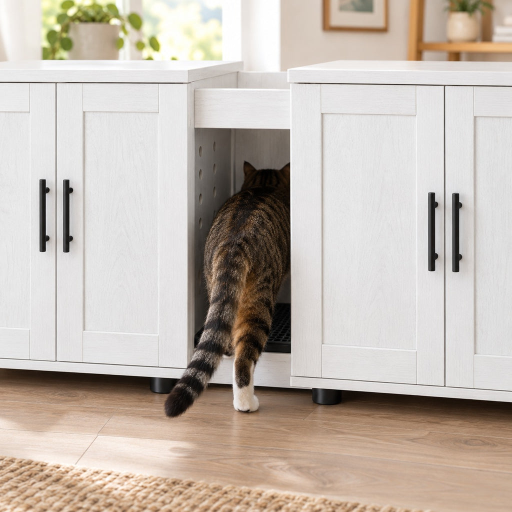 Cat stepping into the center entry between the two cabinets
