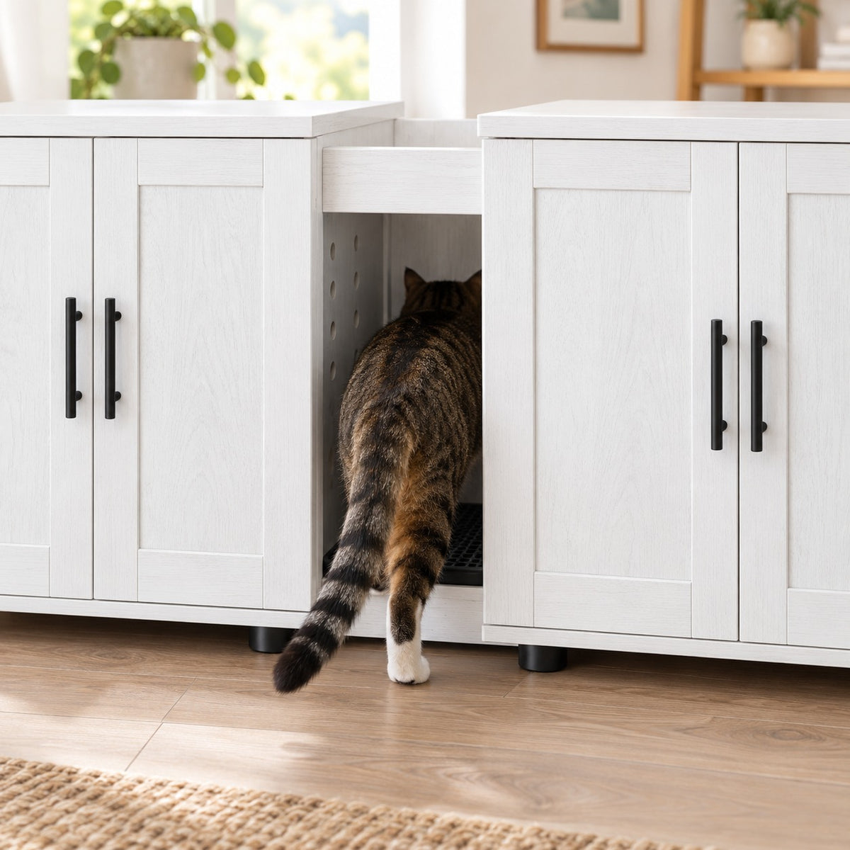Cat stepping into the center entry between the two cabinets