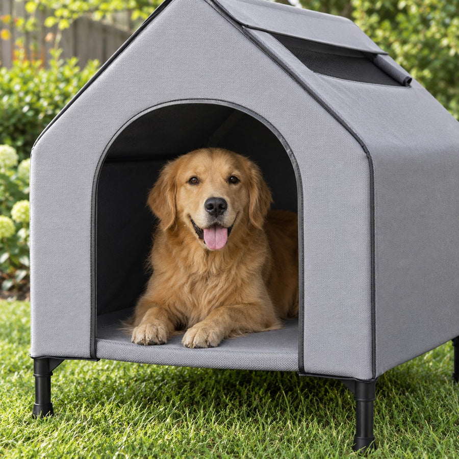 Dog resting on the raised mesh floor at the arched doorway