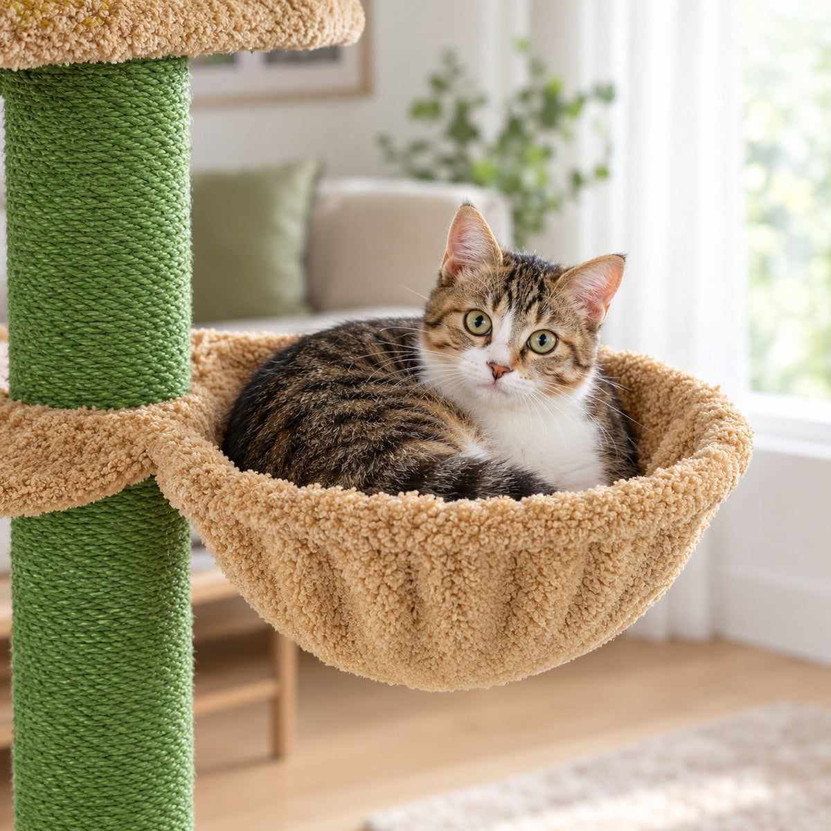 Cat curled up in a round plush basket of the floor to ceiling cat tree