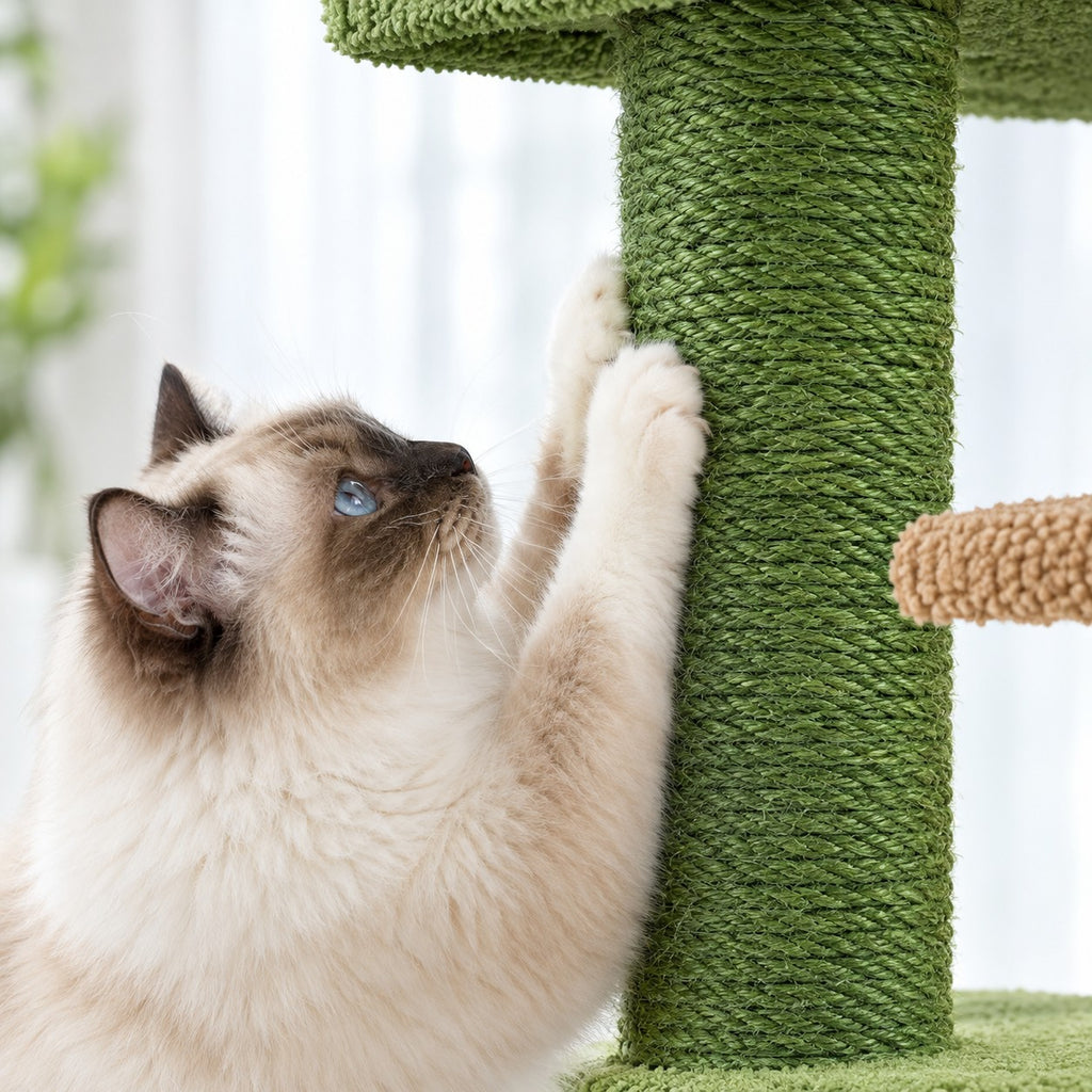 Cat scratching the green sisal-wrapped pole of the cactus cat tree