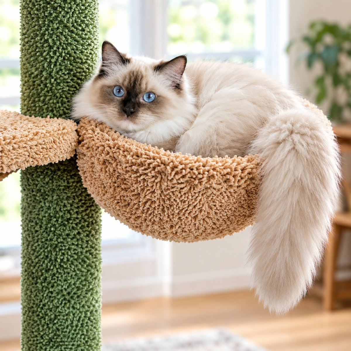Cat curled in the round carpet basket bed of the cactus cat tree