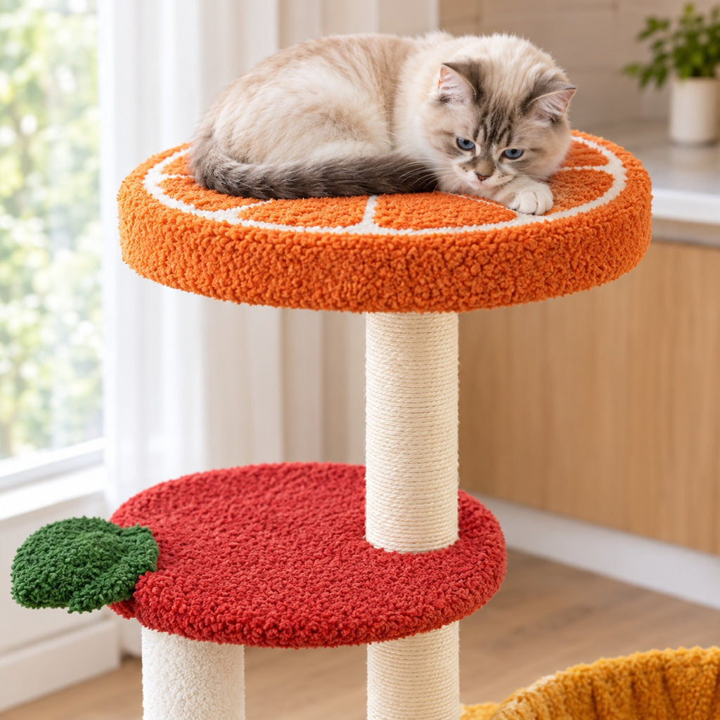 Cat on the orange-slice top perch above the apple-shaped platform