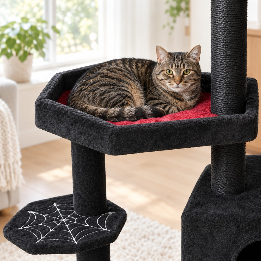 Cat curled in the coffin-shaped bed of the gothic cat tree
