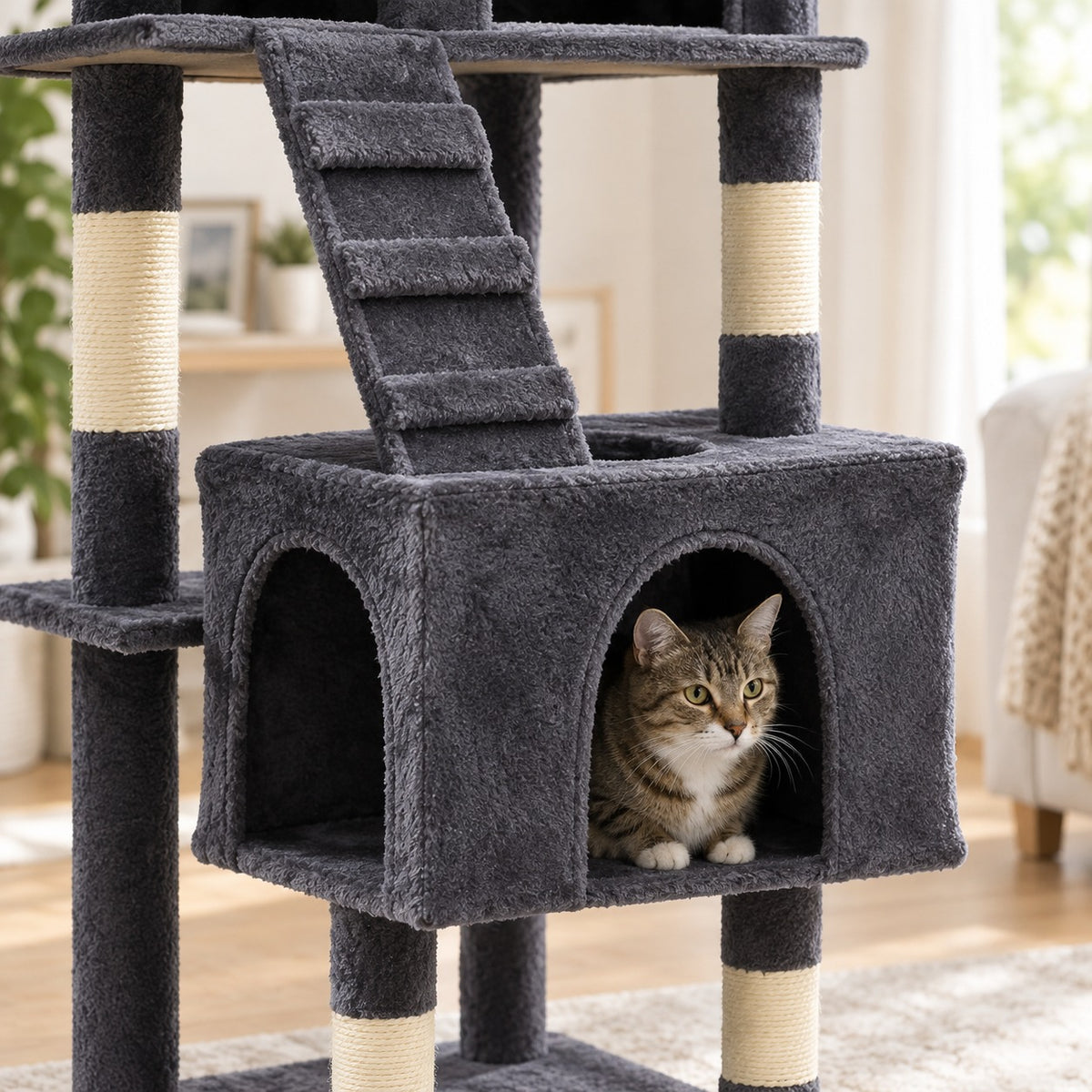 Cat peeking out of the lower double-door condo of the dark gray cat tree