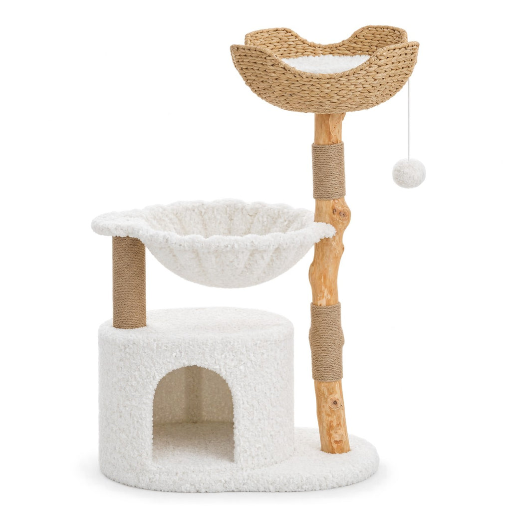 Condo and Hammock cat tree on white background
