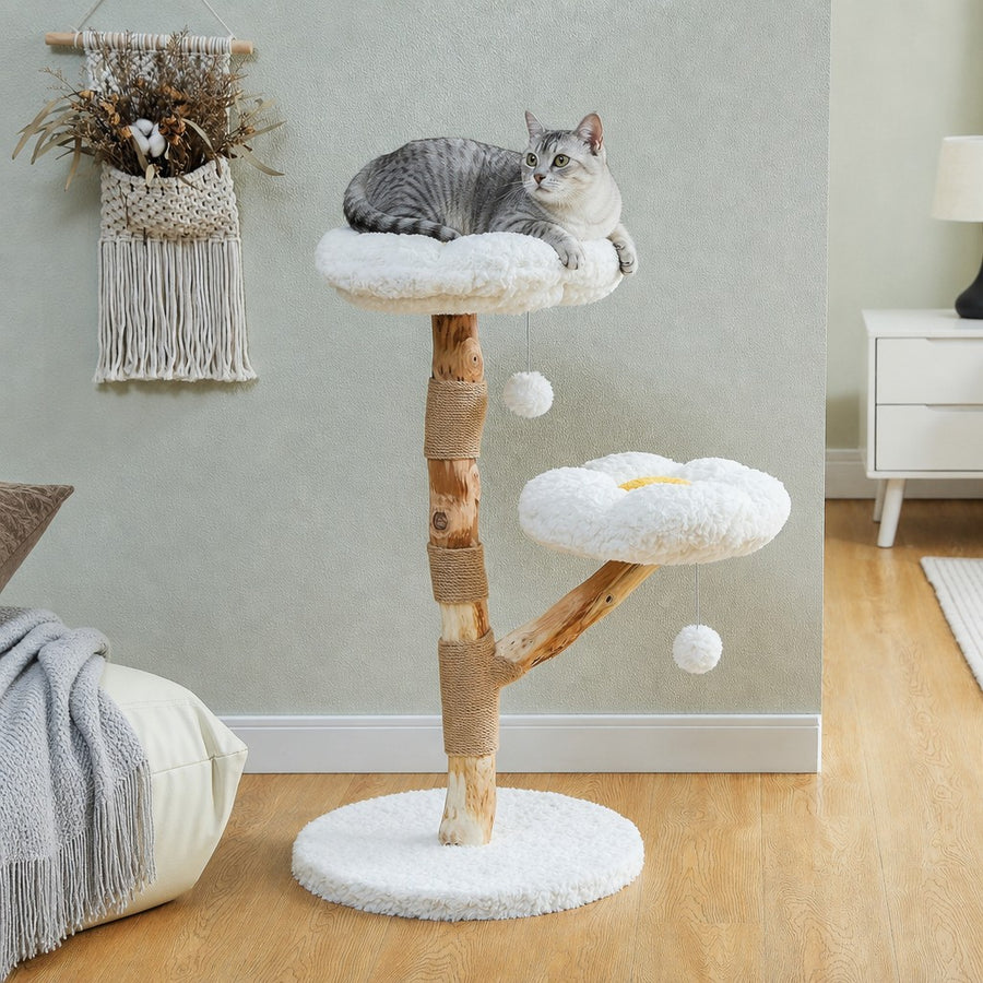 Daisy Perch cat tree with two daisy-shaped plush perches on a natural wood branch