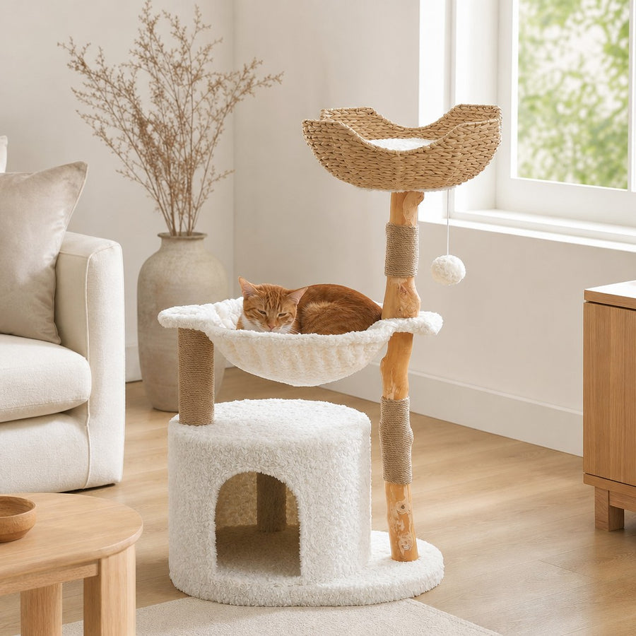 Condo and Hammock cat tree with natural wood trunks, plush hammock and rattan basket