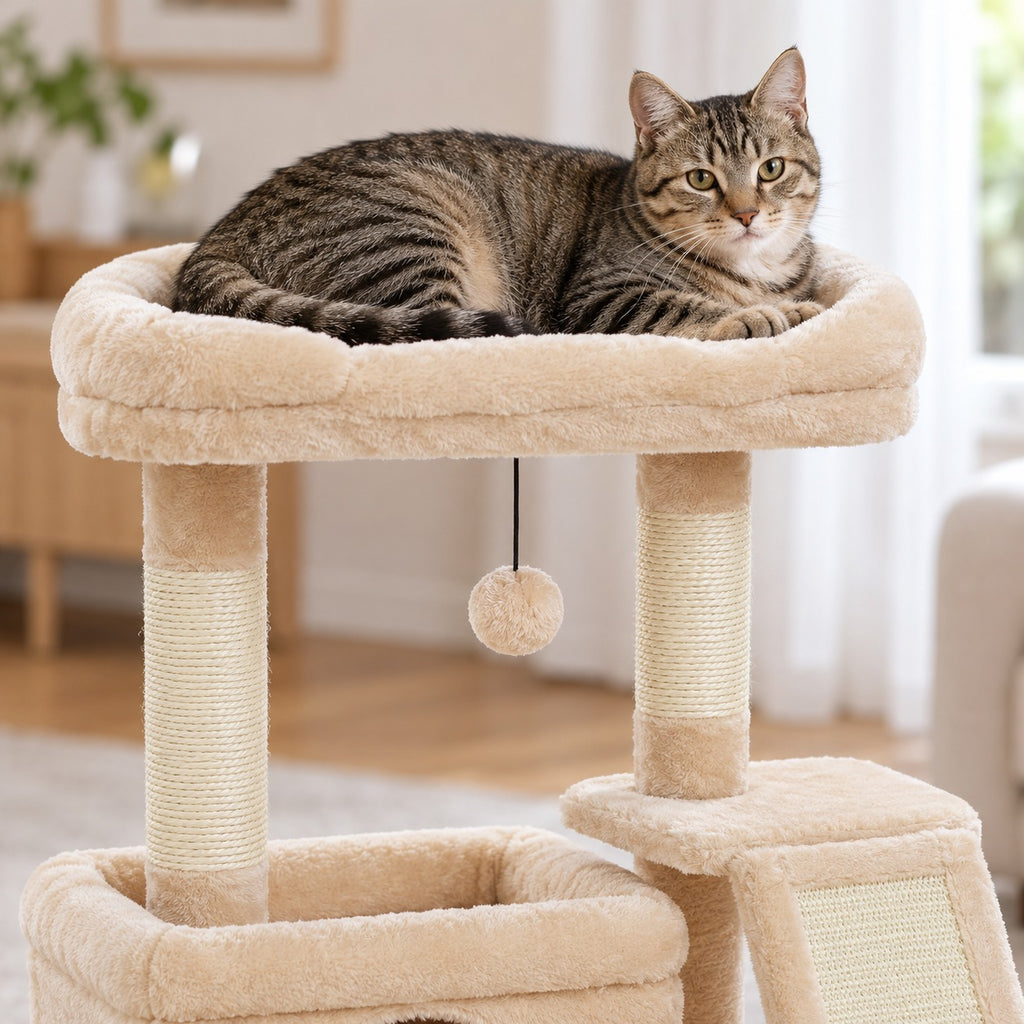 Cat lying on the wide raised-rim top perch of the small cat tree
