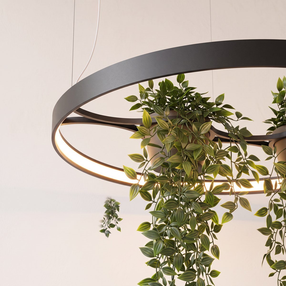 Suspension anneau LED noire avec jardinière intégrée