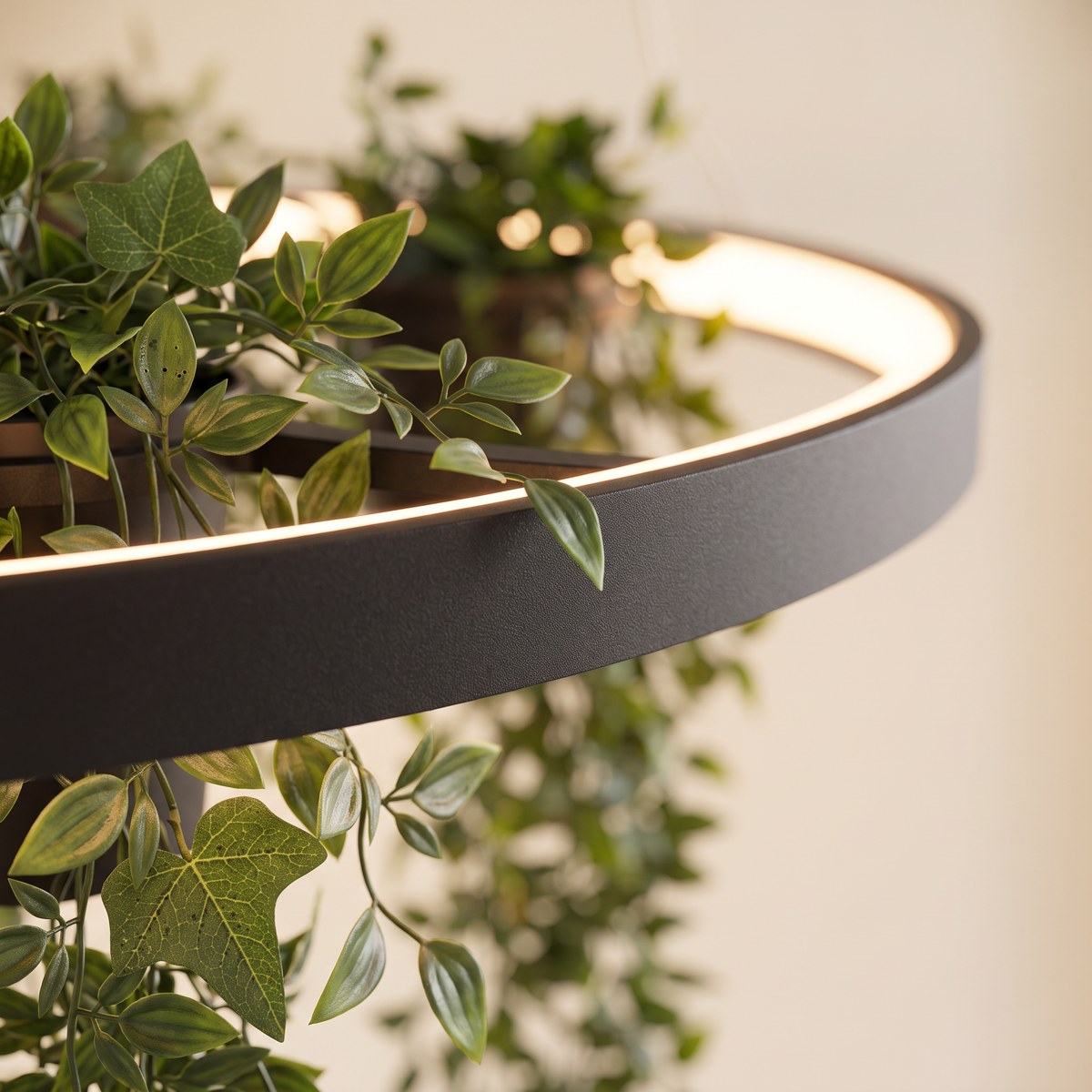 Suspension anneau LED noire avec jardinière intégrée