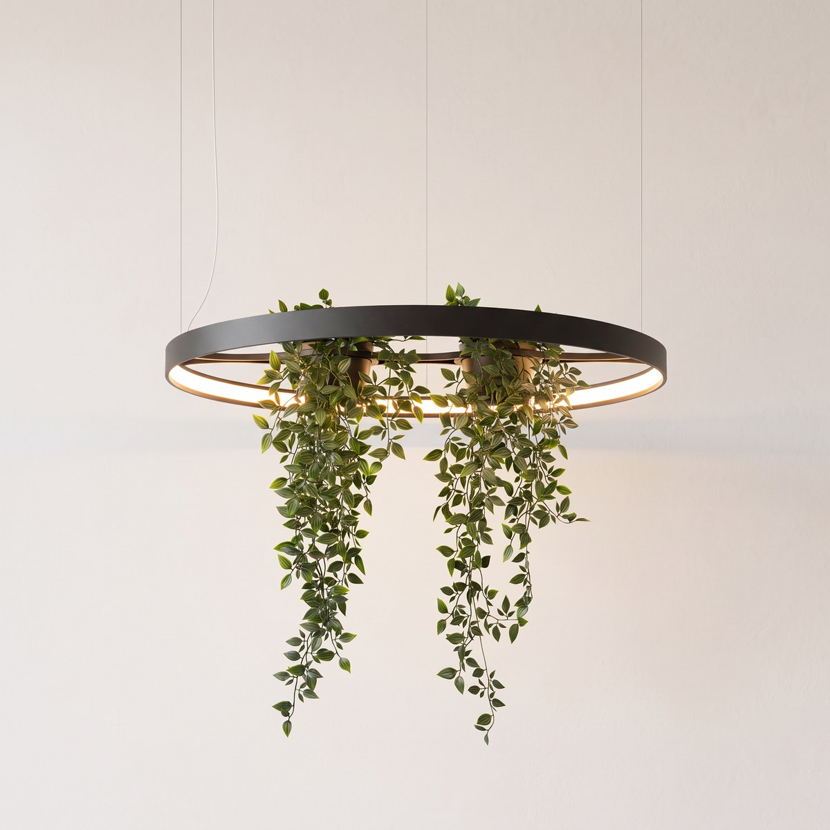 Suspension anneau LED noire avec jardinière intégrée