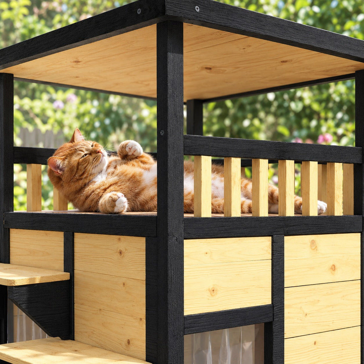 Cat relaxing on the upper balcony of the wooden cat house
